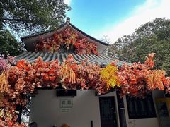 -龙湾潭国家森林公园