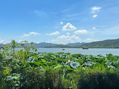 -湖畔居茶楼(湖滨店)