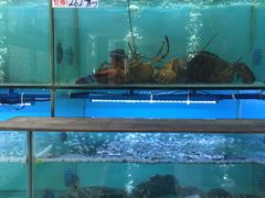 -南海渔家•海鲜•正宗海南菜(海棠湾店)