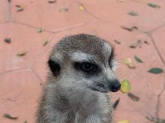 -南戴河国际娱乐中心