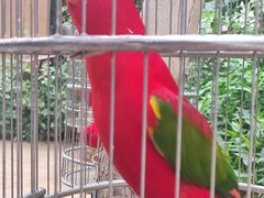 -南宫五洲植物乐园