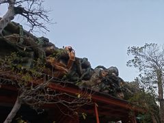 -贵安欢乐世界