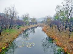 -石塘人家