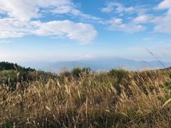 -军营村