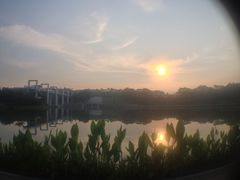 清晨-东莞植物园
