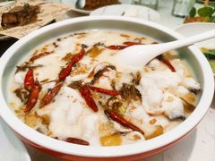 大树奶酸鱼-大树餐厅(红旗街万达店)