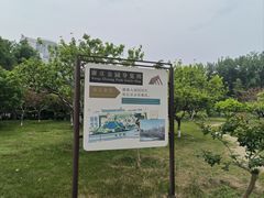 -康庄公园
