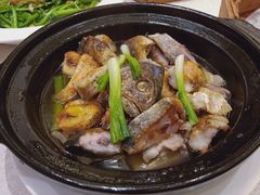 -锦粤宫·精致粤菜(阳西店)