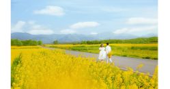 -金夫人婚纱摄影