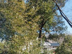 -一江春水·杭帮臻宴(三台山店)