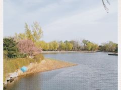 -北京植物园南门售票处