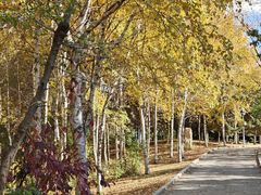 -长春世界雕塑园冰雪艺术天地