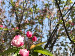 -大兴滨河森林公园