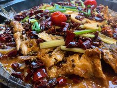 -老板恋上鱼(恒隆广场店)