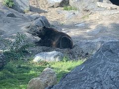 -卡尔加里动物园