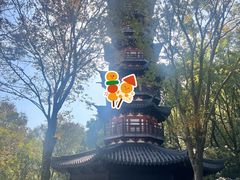 -上海佘山国家森林公园西佘山园