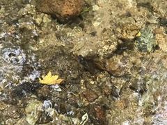 -九鼎铁刹山风景区