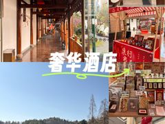 -九华山聚龙大酒店