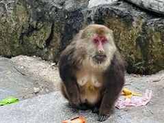 -峨眉山风景名胜区