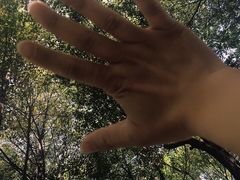 -秀丽东方