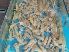 -87号烧烤海鲜·大排档(金沙滩店)
