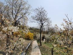 -南翠屏公园
