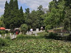 -花溪公园