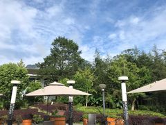 -雅安楠水阁温泉酒店