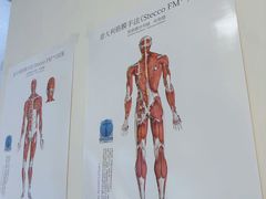 -复动肌骨门诊·MEDMOTION(北外滩店)