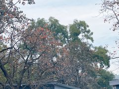 -秦始皇帝陵博物院-丽山园