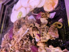 -郭记烤肉创始店(民丰大街店)
