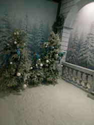 点击看大图 -麦莎MA3A摄影工作室(美兰金邸店)