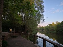 -新江湾城公园