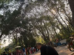 -西双版纳傣族园