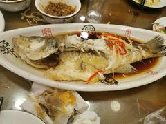 清蒸鲈鱼-凤齐羊肉烩面馆