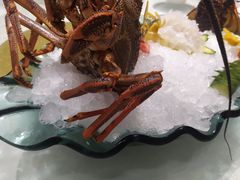 -启东海鲜人家(古美路店)