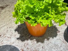 -高丽屋(天宁寺店)