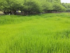 -秀丽东方