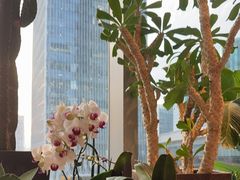 -漢舍川菜馆(国贸商城店)