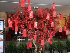 -真爱年华水疗健康运动中心(朱雀大街店)