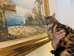 -Me Coffee下午茶艺术空间