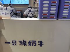 -一只酸奶牛(时代天街A馆店)