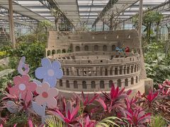 -南宫五洲植物乐园