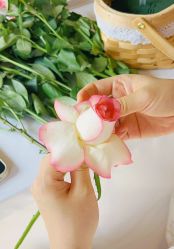 -巍阁高端月子会所