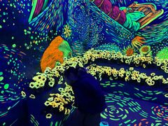 -梵高星空艺术馆(北京旗舰店)