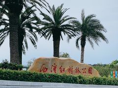 -宝安西湾红树林湿地公园