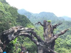 -龙湾潭国家森林公园