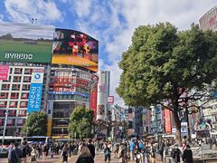 -涩谷全向十字路口