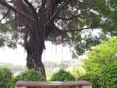 景点-大沙河公园