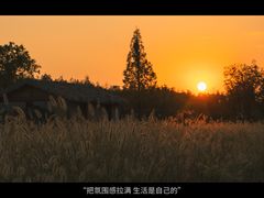 -良渚古城遗址公园